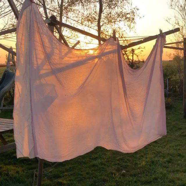 Natural dye